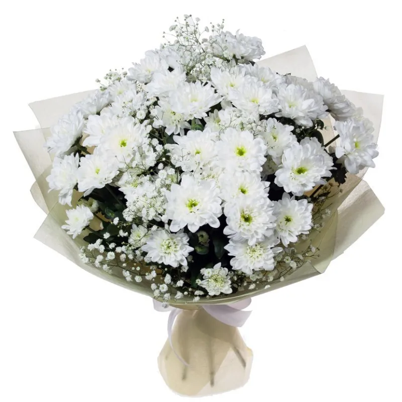 Букет из 5 хризантем с гипсофилой, доставка Зея